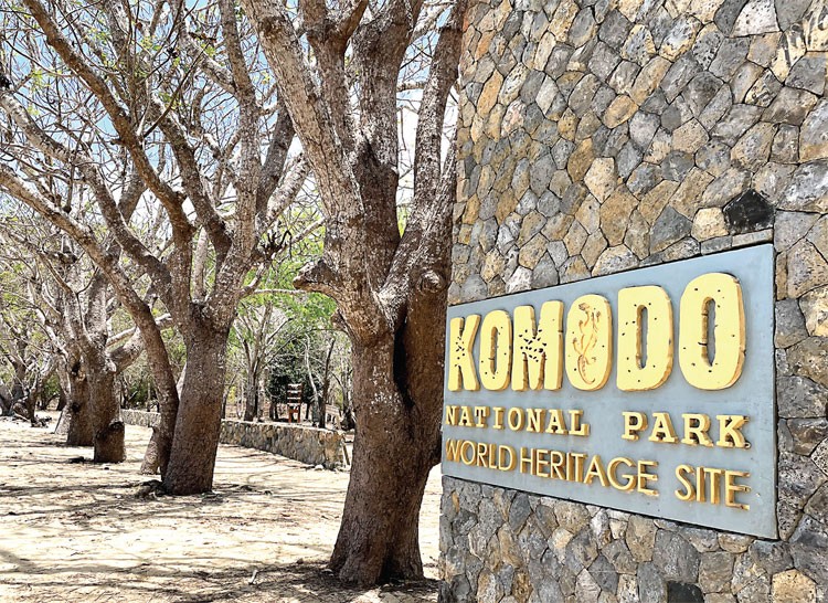 Đi đảo cát hồng, ngắm rồng Komodo Đi đảo cát hồng, ngắm rồng Komodo