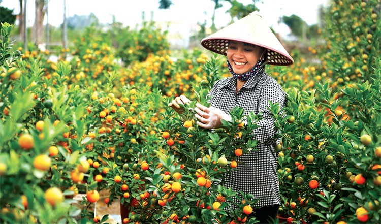 Mắt ướt sau 11 giờ bay