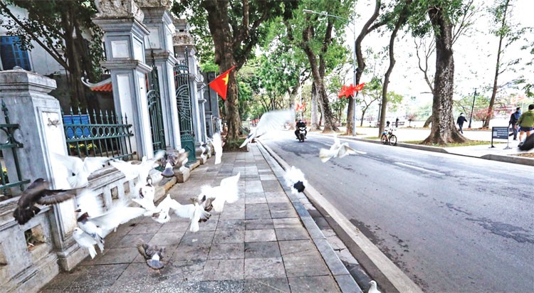 Khoảng lặng sáng mồng một Tết