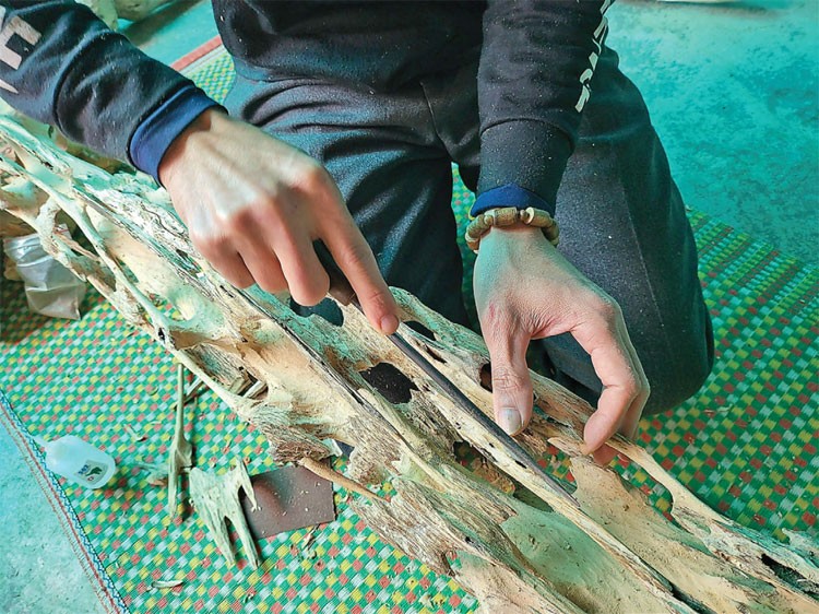 Xoi dó tìm trầm Xoi dó tìm trầm