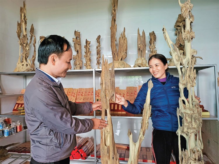 Xoi dó tìm trầm Xoi dó tìm trầm