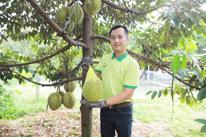 Nhà vườn sầu riêng ăn Tết rủng rỉnh nhờ thị trường Trung Quốc - Ảnh 4. Nhà vườn sầu riêng ăn Tết rủng rỉnh nhờ thị trường Trung Quốc - Ảnh 4.