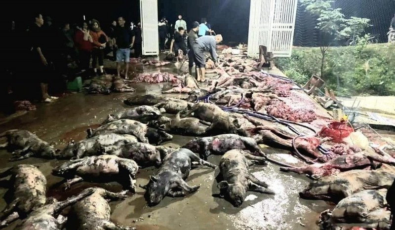 Những TikToker đưa tin giả gây xôn xao dư luận dịp Tết Nguyên đán Quý Mão 2023? Những TikToker đưa tin giả gây xôn xao dư luận dịp Tết Nguyên đán Quý Mão 2023?