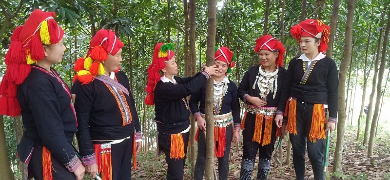 Mùa Xuân "no ấm" từ kinh tế rừng