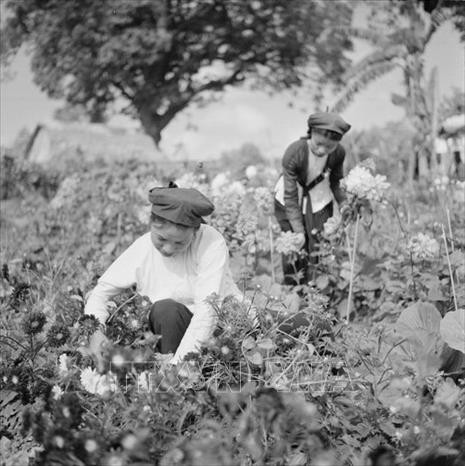 [Ảnh] Những hình ảnh lịch sử của Tết Quý Mão 1963 ảnh 5