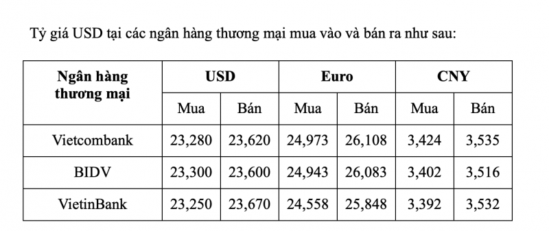 Tỷ giá USD hôm nay 25/1: Tỷ giá USD quay đầu giảm Tỷ giá USD hôm nay 25/1: Tỷ giá USD quay đầu giảm
