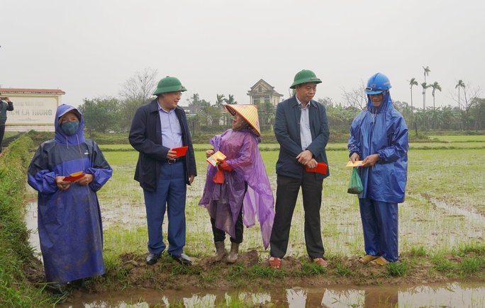 Lãnh đạo tỉnh Quảng Trị ra tận ruộng lì xì cho nông dân - Ảnh 1. Lãnh đạo tỉnh Quảng Trị ra tận ruộng lì xì cho nông dân - Ảnh 1.