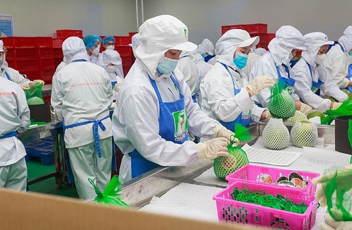 Tăng sự hiện diện của thương hiệu Việt tại thị trường EU Tăng sự hiện diện của thương hiệu Việt tại thị trường EU
