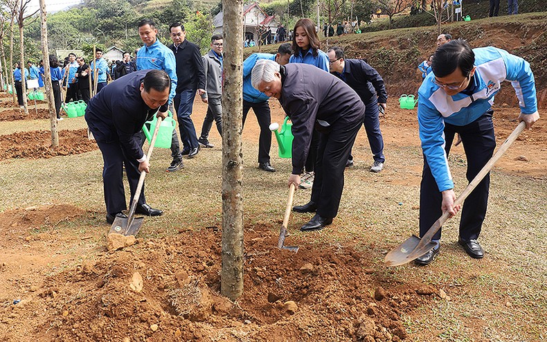 Tuổi trẻ cả nước phấn đấu trồng 20 triệu cây xanh trong năm 2023 ảnh 2