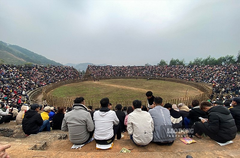 Sới chọi trâu do doanh nghiệp tư nhân Hải Cường đứng ra tổ chức thu hút hàng nghìn người đến xem