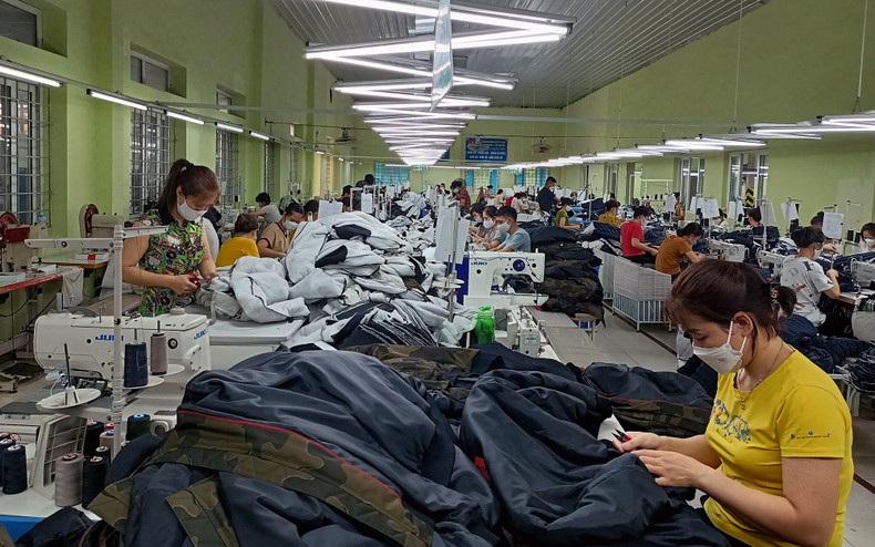 Ngành dệt may ứng phó bất ổn thị trường ảnh 1