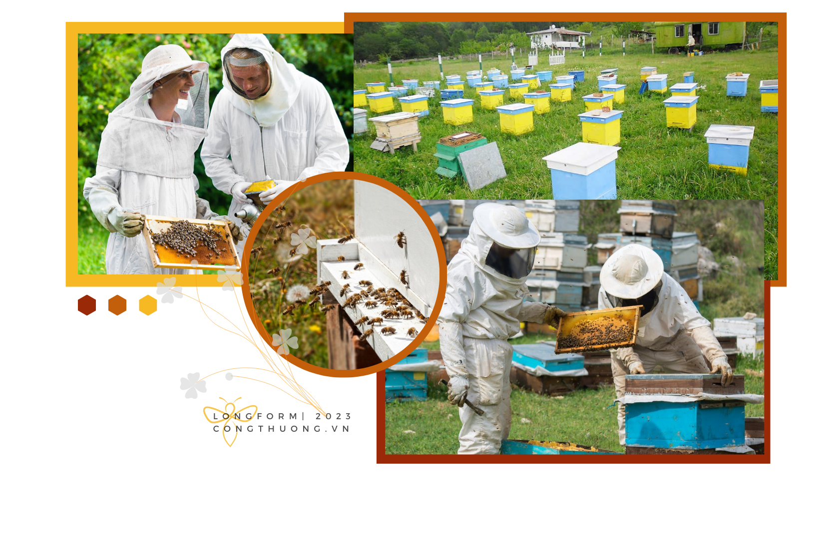 Longform | Mật ong Việt ở trời Tây Longform | Mật ong Việt ở trời Tây