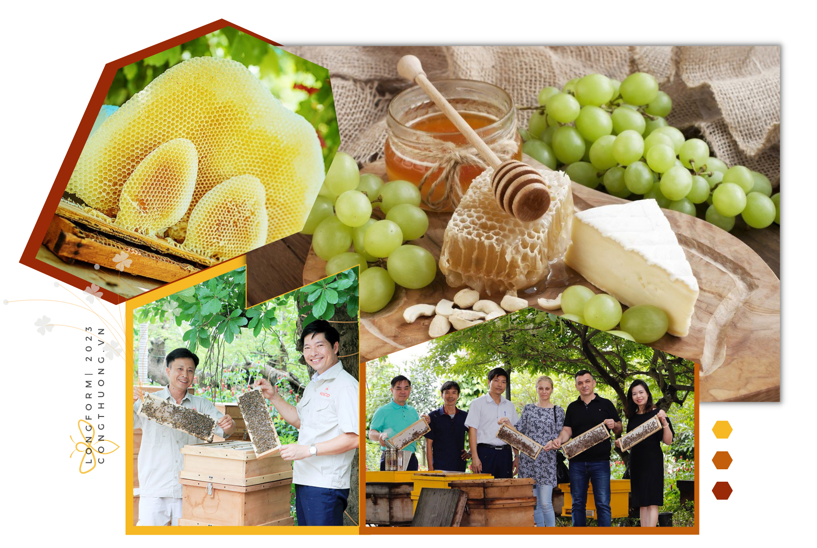 Longform | Mật ong Việt ở trời Tây Longform | Mật ong Việt ở trời Tây