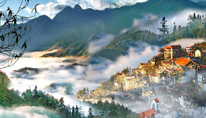 Longform | Mật ong Việt ở trời Tây Longform | Mật ong Việt ở trời Tây