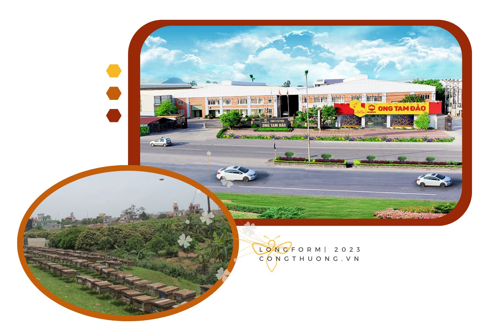 Longform | Mật ong Việt ở trời Tây Longform | Mật ong Việt ở trời Tây