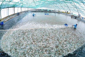 Năm 2023, tỉnh Bạc Liêu tập trung tái cơ cấu kinh tế gắn với đổi mới tăng trưởng kinh tế