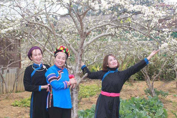 Tưng bừng Lễ hội xuống đồng của dân tộc Tày Tả Chải (Bắc Hà) Tưng bừng Lễ hội xuống đồng của dân tộc Tày Tả Chải (Bắc Hà)