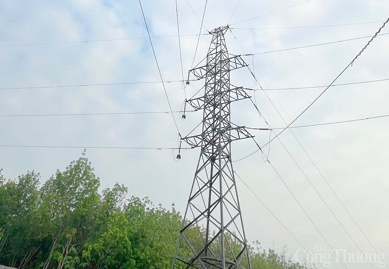 Điện lực miền Nam: Đóng điện vận hành công trình đường dây 110KV Tân Biên – Suối Dộp mừng Đảng 93 mùa xuân