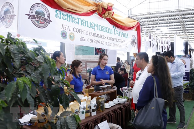 Cơ hội tìm hiểu thị trường Lào của các doanh nghiệp càphê Việt Nam hình ảnh 1 Co hoi tim hieu thi truong Lao cua cac doanh nghiep caphe Viet Nam hinh anh 1