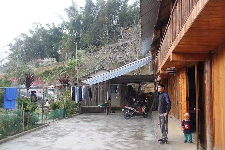 Mận tam hoa bung nở nhuộm sắc trắng tinh khôi miền cao nguyên trắng Bắc Hà Mận tam hoa bung nở nhuộm sắc trắng tinh khôi miền cao nguyên trắng Bắc Hà