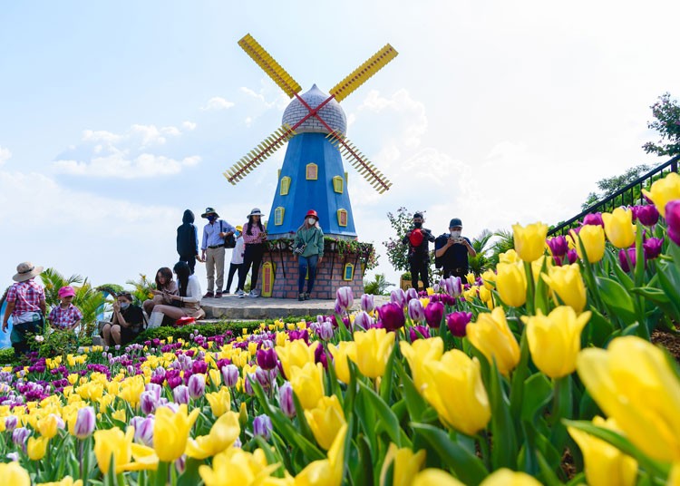 Rằm tháng Giêng, núi Bà Đen vượt lượng khách so với nhiều điểm đến tâm linh Rằm tháng Giêng, núi Bà Đen vượt lượng khách so với nhiều điểm đến tâm linh