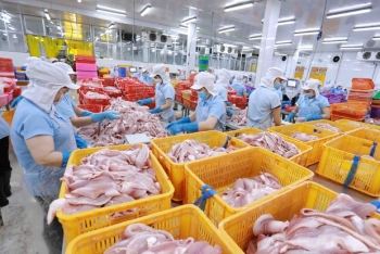 Số đông doanh nghiệp trong nước đang gặp rất nhiều khó khăn