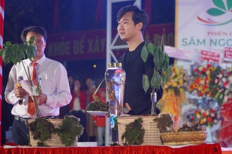 Kon Tum: Hội thi sâm Ngọc linh lần thứ nhất, nơi hội tụ những củ sâm quý