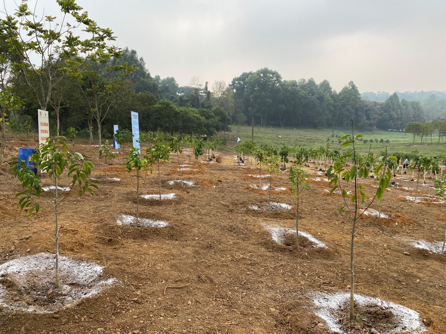 Panasonic đồng hành cùng Lễ phát động