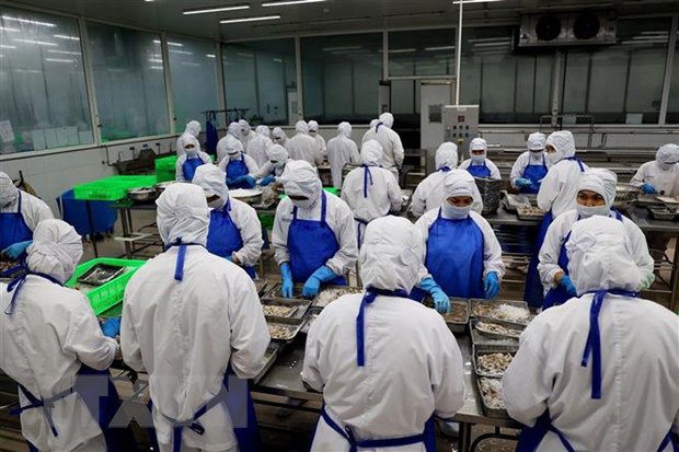 Hiệp định RCEP tạo động lực mới cho phát triển kinh tế khu vực hình ảnh 1 Hiep dinh RCEP tao dong luc moi cho phat trien kinh te khu vuc hinh anh 1