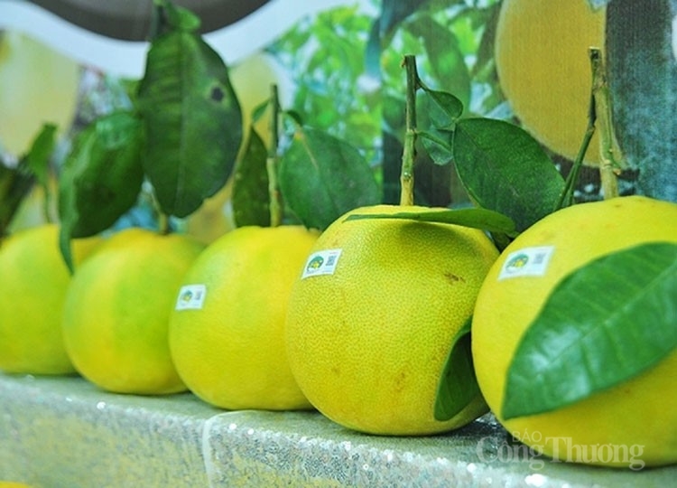 Nông sản Hà Tĩnh thời 4.0- Kỳ 2: Khi nông sản Hà Tĩnh lên sàn Nông sản Hà Tĩnh thời 4.0- Kỳ 2: Khi nông sản Hà Tĩnh lên sàn