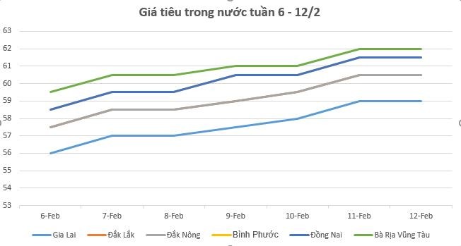 Giá tiêu hôm nay 12/2 và tổng kết tuần qua: Tăng mạnh 3.000 đồng/kg Giá tiêu hôm nay 12/2 và tổng kết tuần qua: Tăng mạnh 3.000 đồng/kg