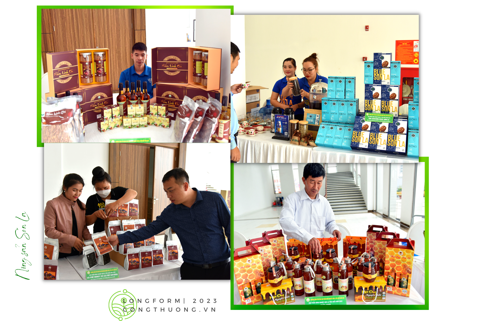 Longform | Nông sản Sơn La chinh phục thế giới Longform | Nông sản Sơn La chinh phục thế giới