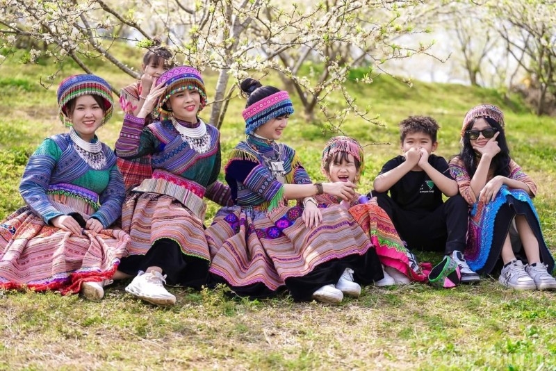 Lạc lối vào mùa hoa mận đẹp say lòng người trên cao nguyên trắng Bắc Hà