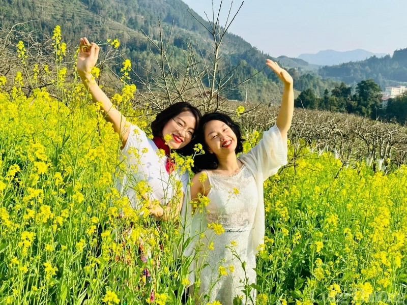 Lạc lối vào mùa hoa mận đẹp say lòng người trên cao nguyên trắng Bắc Hà