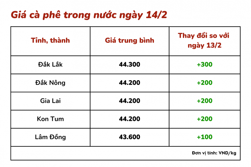 Giá cà phê hôm nay, 14/2: Cà phê trong nước tiếp tục tăng Giá cà phê hôm nay, 14/2: Cà phê trong nước tiếp tục tăng