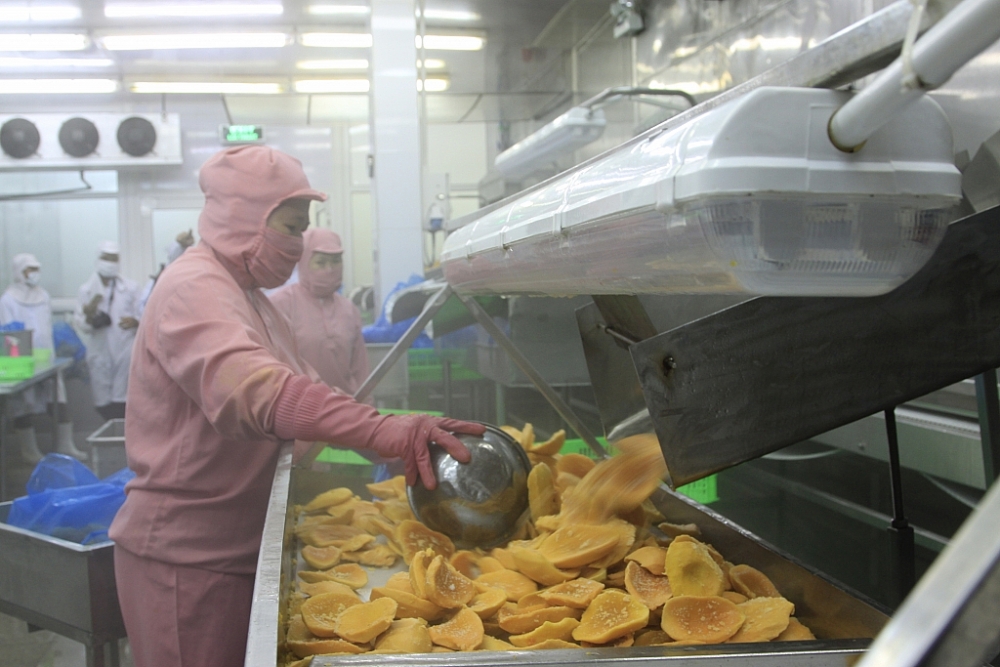 Việt Nam với nhiều sản phẩm nông, thủy sản có lợi thế khi xuất khẩu sang thị trường Indonesia. Ảnh: Nguyễn Thanh Việt Nam với nhiều sản phẩm nông, thủy sản có lợi thế khi xuất khẩu sang thị trường Indonesia. Ảnh: Nguyễn Thanh