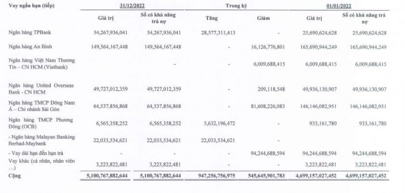 Ai là chủ khoản nợ hơn 6.000 tỷ đồng tại Xây dựng Hòa Bình?
