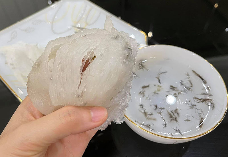 Những thách thức xuất khẩu tổ yến chính ngạch vào Trung Quốc -0