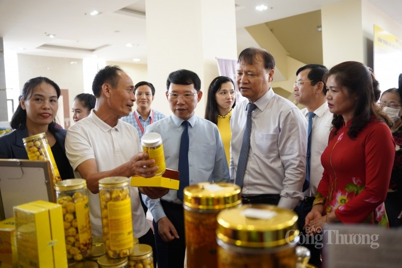 Bắc Giang: Nâng tầm thương hiệu nông sản nhờ Chương trình OCOP - Bài 2: Nâng cao hiệu quả chương trình OCOP Bắc Giang: Nâng tầm thương hiệu nông sản nhờ Chương trình OCOP - Bài 2: Nâng cao hiệu quả chương trình OCOP