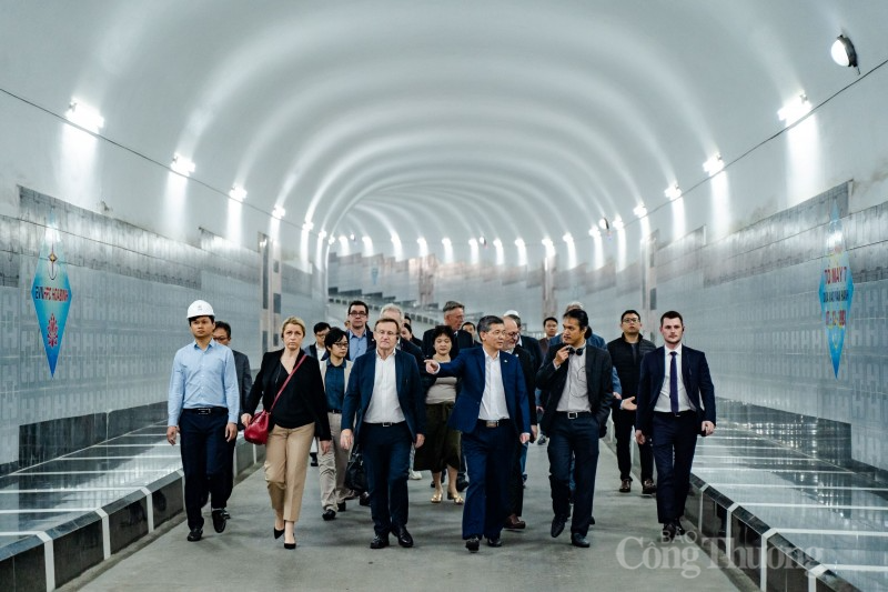 Tổng giám đốc AFD thăm và làm việc với Tập đoàn Điện lực Việt Nam