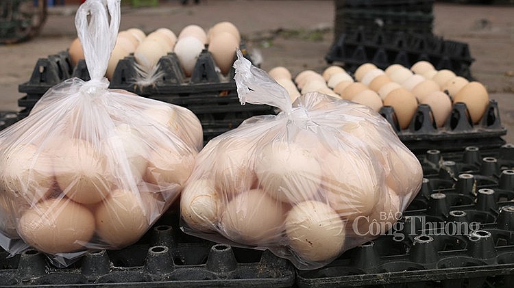 Những túi trứng được buộc sẵn 30 quả. Chất lượng như thế nào thì chỉ người bán mới rõ Những túi trứng được buộc sẵn 30 quả. Chất lượng như thế nào thì chỉ người bán mới rõ