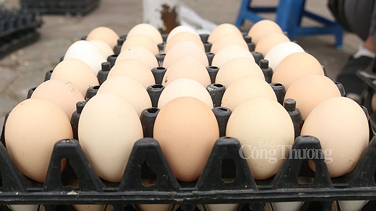 Một tiểu thương cho biết dùng biển giải cứu chủ yếu để