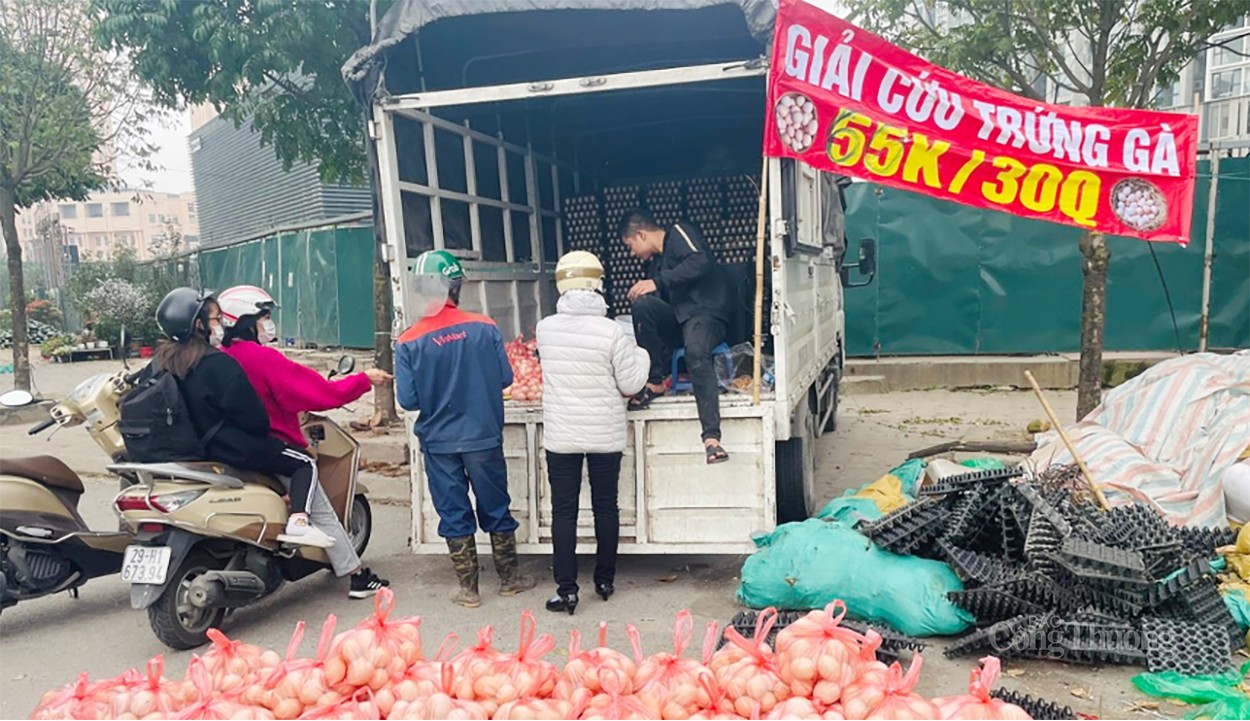 Trứng gà giải cứu 65k/30 quả: Cần