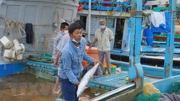 Đồng loạt thực hiện chống khai thác hải sản bất hợp pháp hình ảnh 2 Dong loat thuc hien chong khai thac hai san bat hop phap hinh anh 2