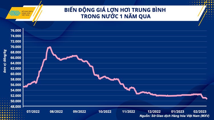 Ngành chăn nuôi và bài toán vượt khó trong quý I/2023 Ngành chăn nuôi và bài toán vượt khó trong quý I/2023