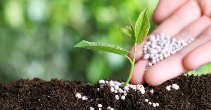 Xuất khẩu phân bón tháng 1/2023 giảm 62,78% kim ngạch so với cùng kỳ