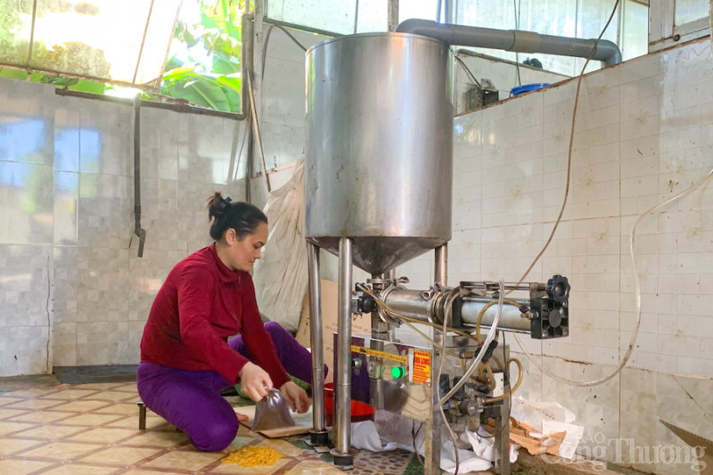 Kiếm tiền triệu mỗi ngày nhờ chế biến gia vị cho đặc sản Gia Lai