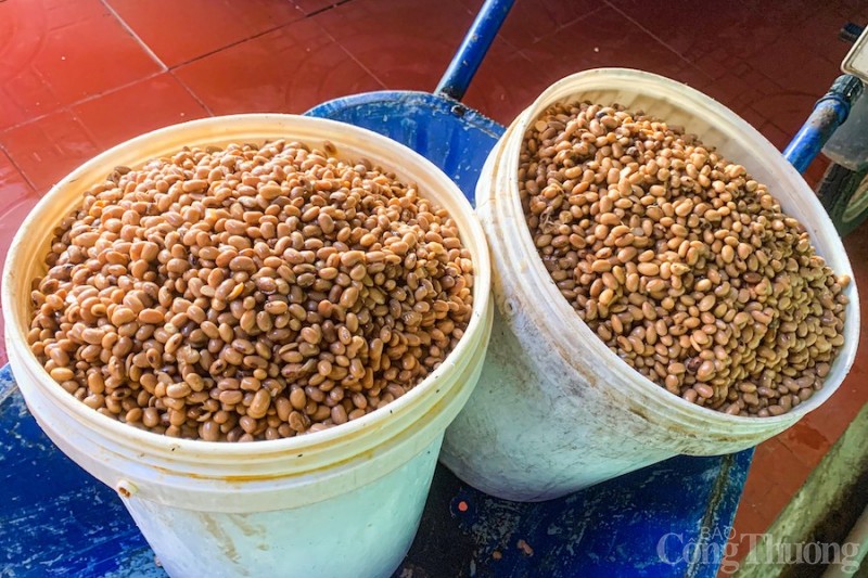 Kiếm tiền triệu mỗi ngày nhờ chế biến gia vị cho đặc sản Gia Lai