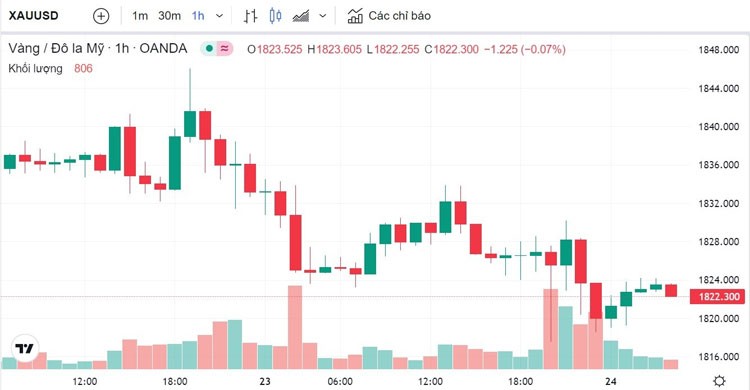 Giá vàng hôm nay 24/2: Vàng SJC giảm trở lại mốc 67 triệu đồng Giá vàng hôm nay 24/2: Vàng SJC giảm trở lại mốc 67 triệu đồng