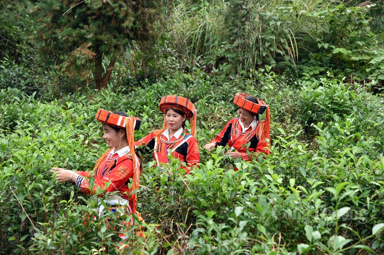 Sức hấp dẫn trong trang phục truyền thống của phụ nữ Pà Thẻn Sức hấp dẫn trong trang phục truyền thống của phụ nữ Pà Thẻn